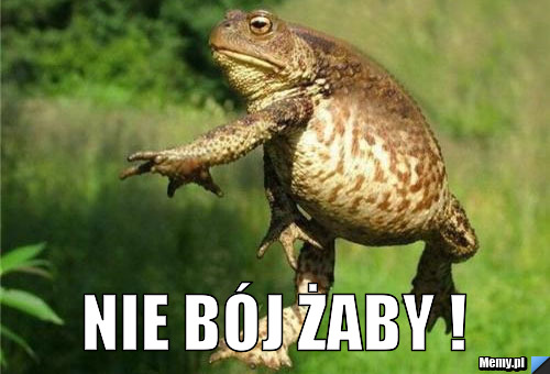  Nie Bój żaby !