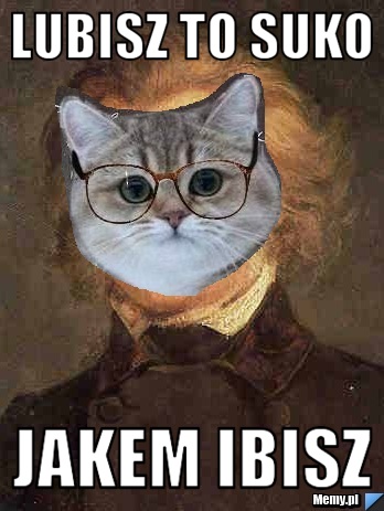 Lubisz to suko Jakem Ibisz