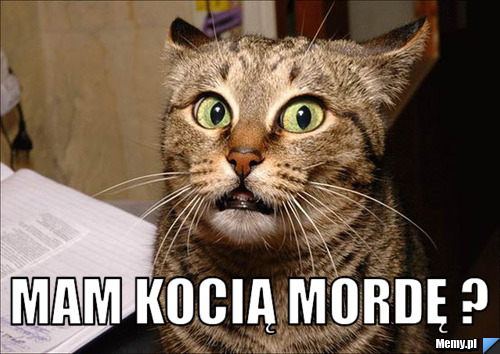  mam kocią mordę ?