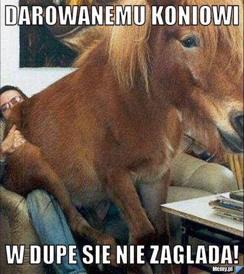 Darowanemu koniowi w dupe sie nie zaglada!