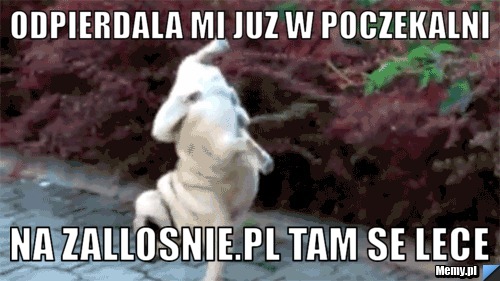 Odpierdala mi juz w poczekalni na zallosnie.pl tam se lece