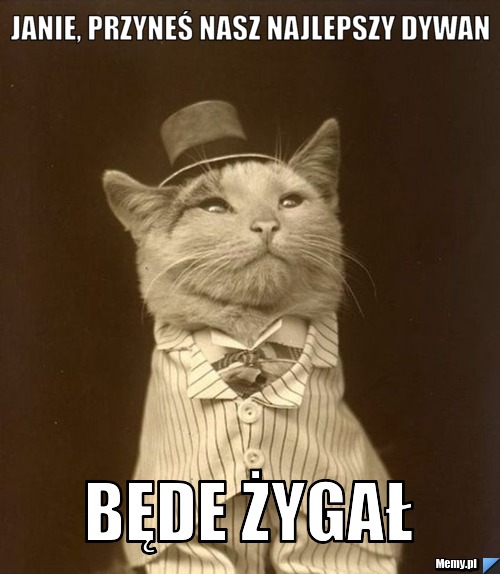 Janie, przyneś nasz najlepszy dywan BĘDE ŻYGAŁ