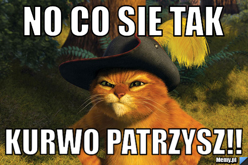 No co sie tak kurwo patrzysz!!