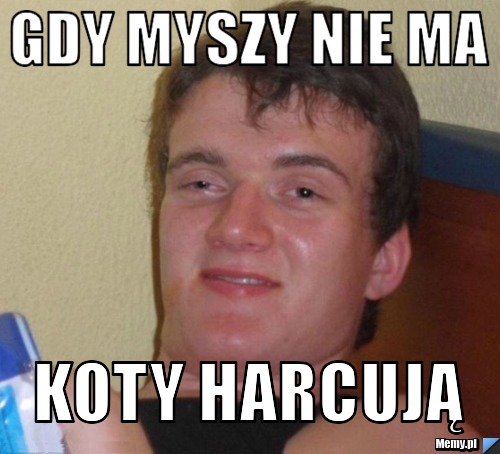 Gdy myszy nie ma koty harcują