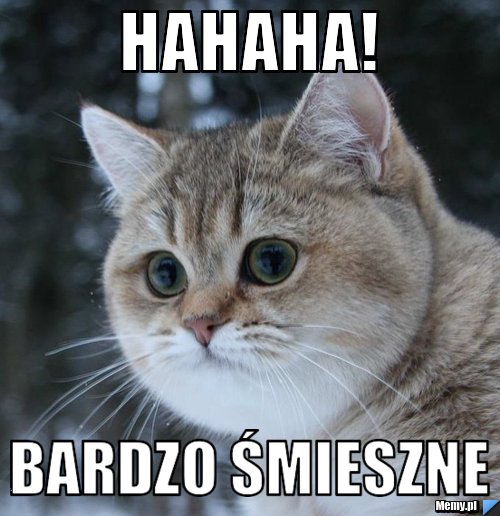 Hahaha! Bardzo śmieszne
