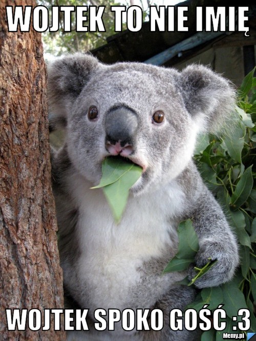 Wojtek to nie imię Wojtek spoko gość :3 