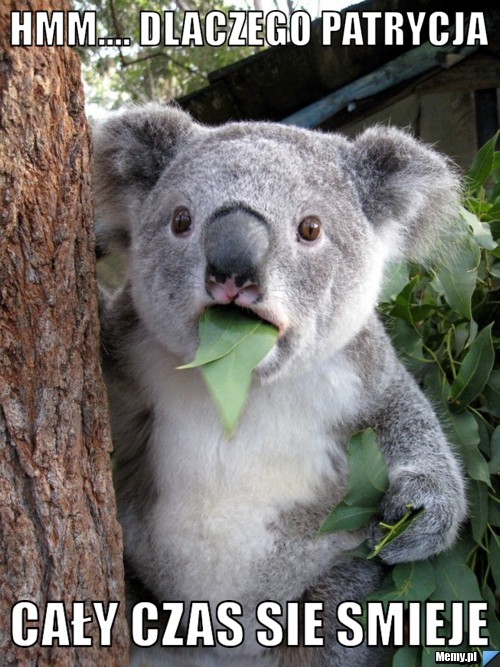 Hmm.... dlaczego Patrycja  cały czas sie smieje 