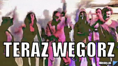  teraz węgorz