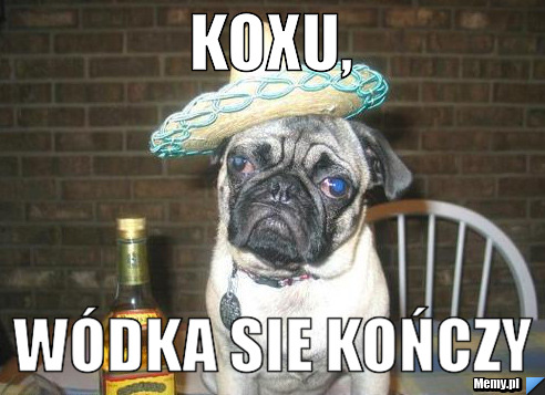 KOxu, wódka sie kończy