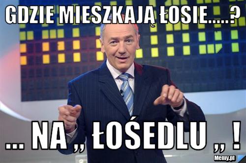 Gdzie mieszkają łosie.....? ... na ,, łośedlu ,, !