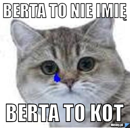 Berta to nie imię  Berta to kot
