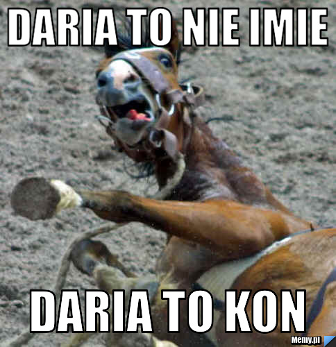 Daria to nie imie  daria to kon