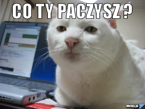 CO TY PACZYSZ ? 