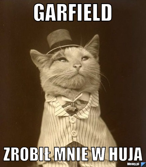Garfield zrobił mnie w huja