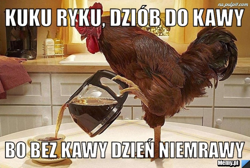 Kuku ryku, dziób do kawy bo bez kawy dzień niemrawy