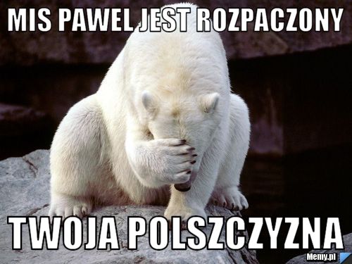 Mis pawel jest rozpaczony twoja polszczyzna