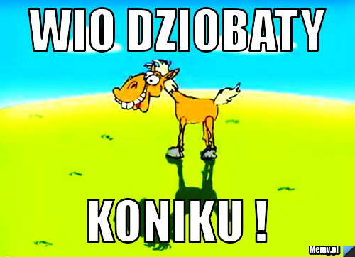 Wio dziobaty  koniku !
