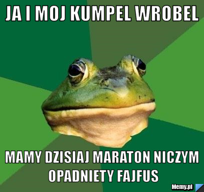 Ja i moj kumpel wrobel mamy dzisiaj maraton niczym opadniety fajfus