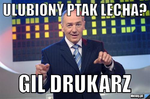 ULUBIONY PTAK LECHA? GIL DRUKARZ