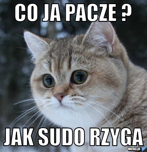 Co Ja Pacze ? Jak Sudo Rzyga 