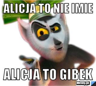 ALICJA TO NIE IMIE ALICJA TO GIBEK 