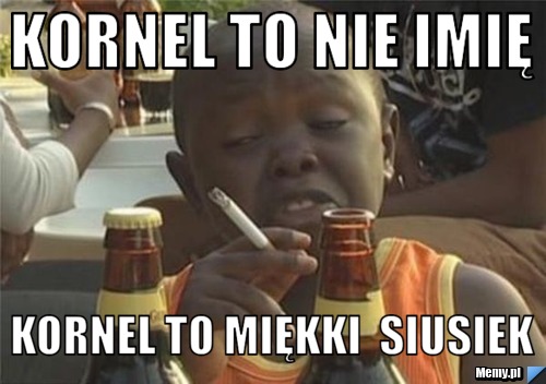 Kornel to nie imię  kornel to miękki  siusiek 