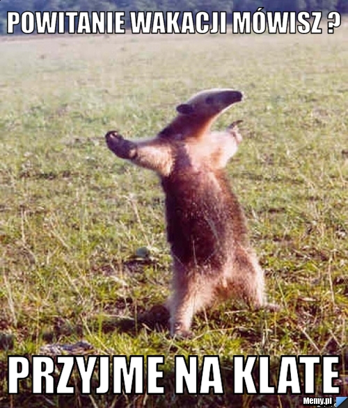 Powitanie wakacji mówisz ? przyjme na klate