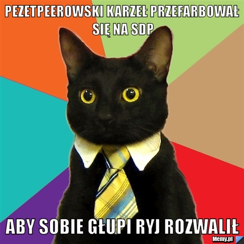 Pezetpeerowski karzeł przefarbował się na sdp aby sobie głupi ryj rozwalił