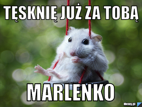 Tęsknię już za Tobą Marlenko