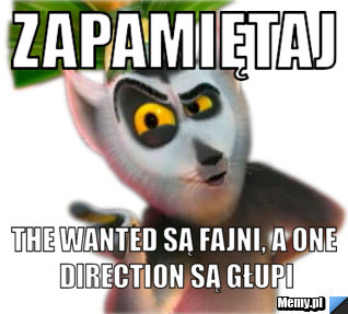 Zapamiętaj THE WANTED SĄ FAJNI, A ONE DIRECTION SĄ GŁUPI
