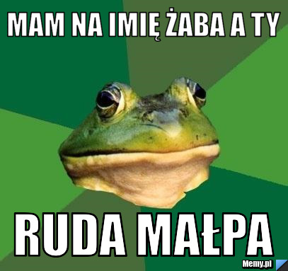 MAM NA IMIĘ ŻABA A TY  RUDA MAŁPA