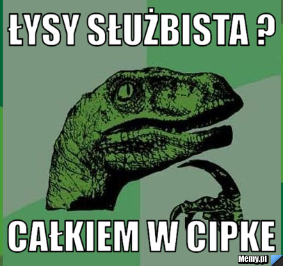 Łysy służbista ? Całkiem w cipke 