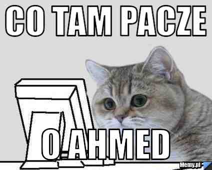 Co tam Pacze O Ahmed 