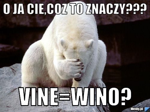 O ja cie,coz to znaczy??? Vine=Wino?