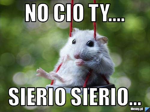 No cio Ty.... sierio sierio...