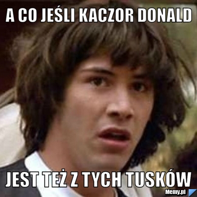 A co jeśli kaczor donald jest też z tych tusków