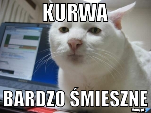 Kurwa Bardzo śmieszne