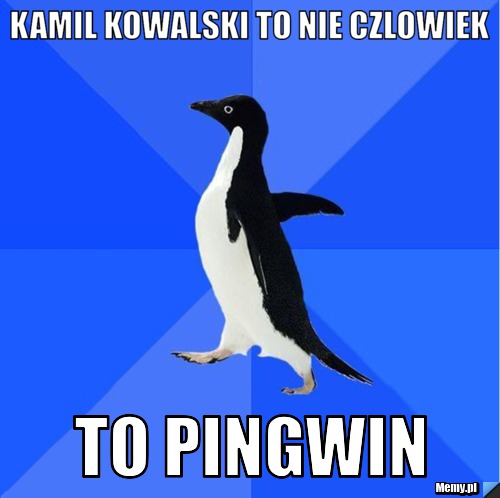 Kamil Kowalski to nie czlowiek  To pingwin 