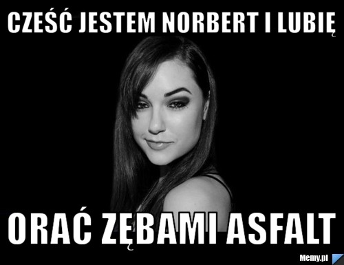 Cześć jestem norbert i lubię  orać zębami asfalt