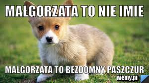 Małgorzata to nie imie  Małgorzata to bezdomny paszczur 