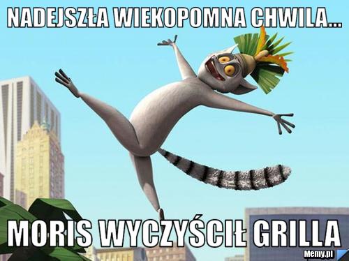 Nadejszła wiekopomna chwila... Moris wyczyścił grilla