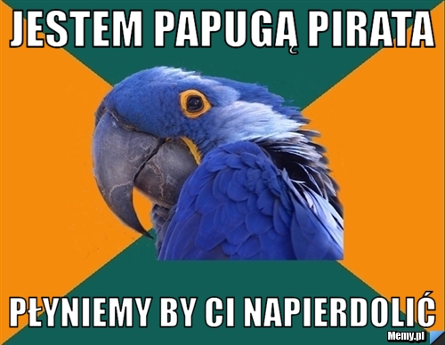 Jestem papugą pirata płyniemy by ci napierdolić