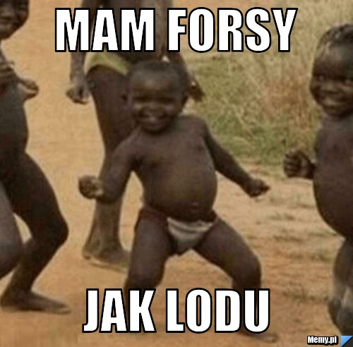 Mam forsy  jak lodu