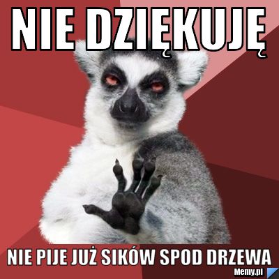 Nie dziękuję nie pije już sików spod drzewa