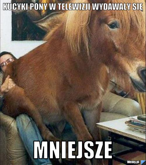 Kucyki pony w telewizji wydawały się mniejsze