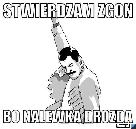 Stwierdzam Zgon Bo Nalewka Drozda