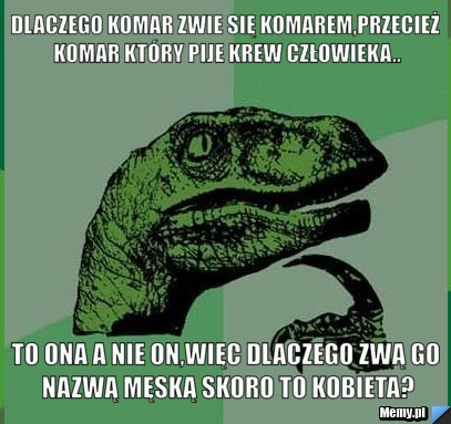Dlaczego komar zwie się komarem,przecież komar który pije krew człowieka.. to ona a nie on,więc dlaczego zwą go nazwą męską skoro to kobieta?