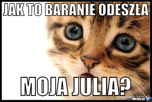 Jak to baranie odeszła moja julia?