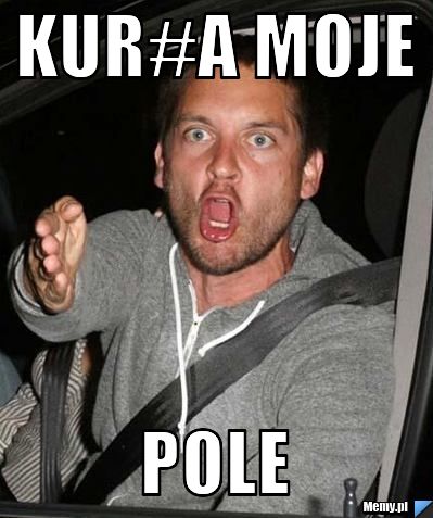 Kur#a moje  pole