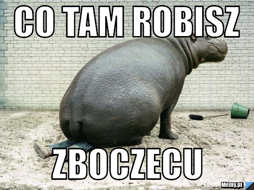 Co tam robisz zboczecu